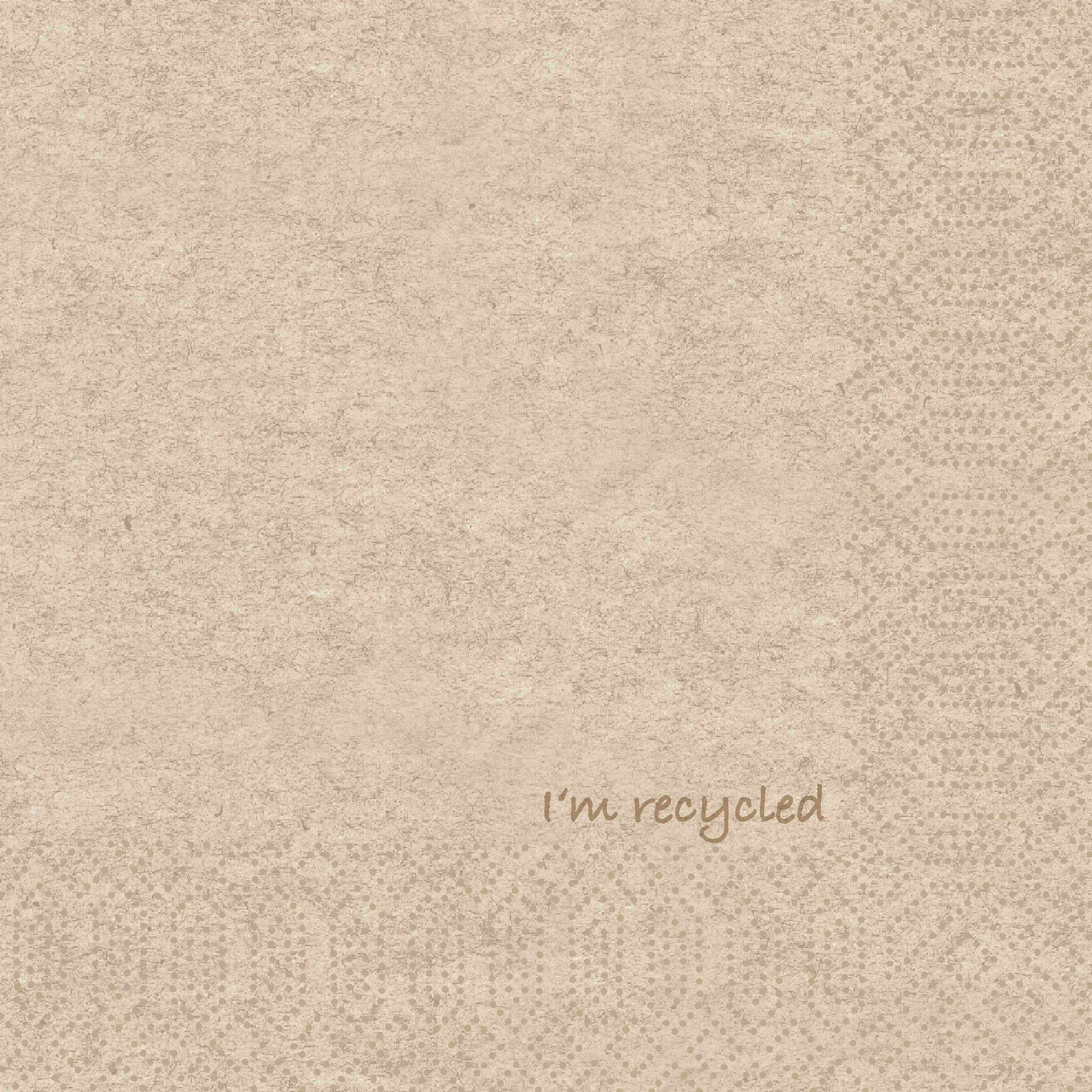 Servett 2-lag 33x33cm Natur I´m Recycled