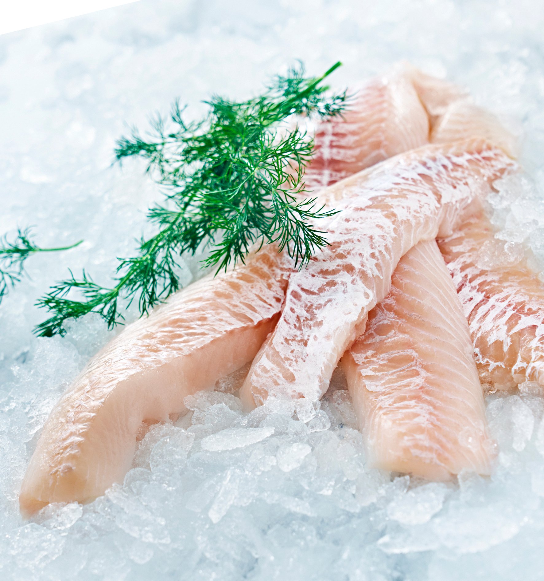 Koljafilé Handbyxad 200-300g MSC