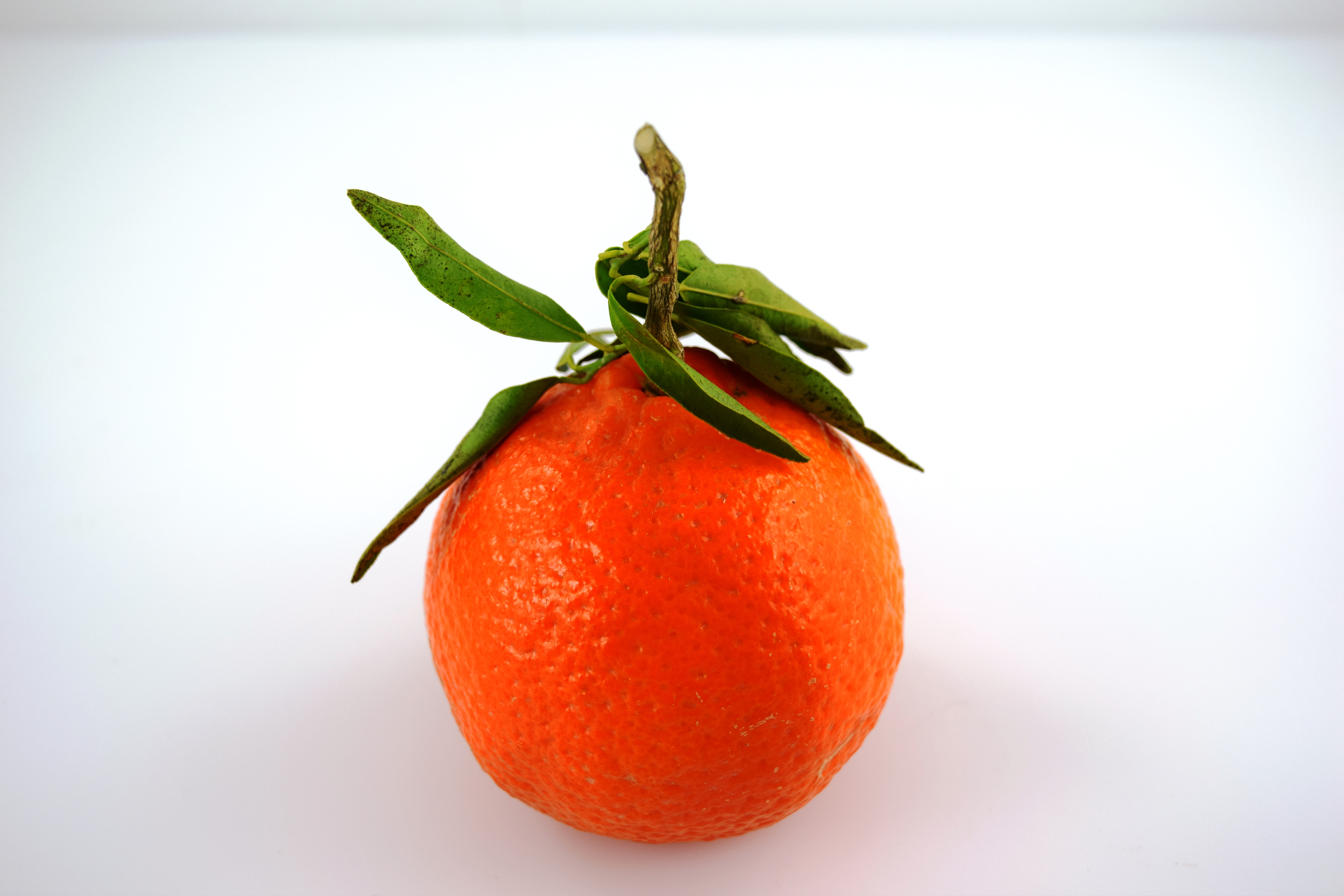 Clementin med Blad