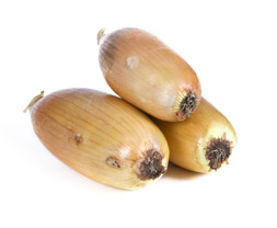 Gul Lök Lång Klass 1 Sverige