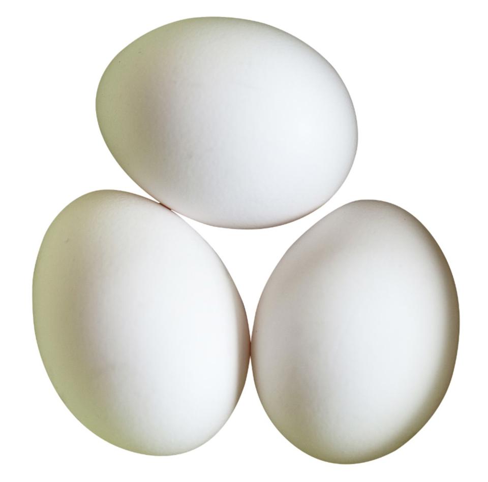 Ägg M Frigående