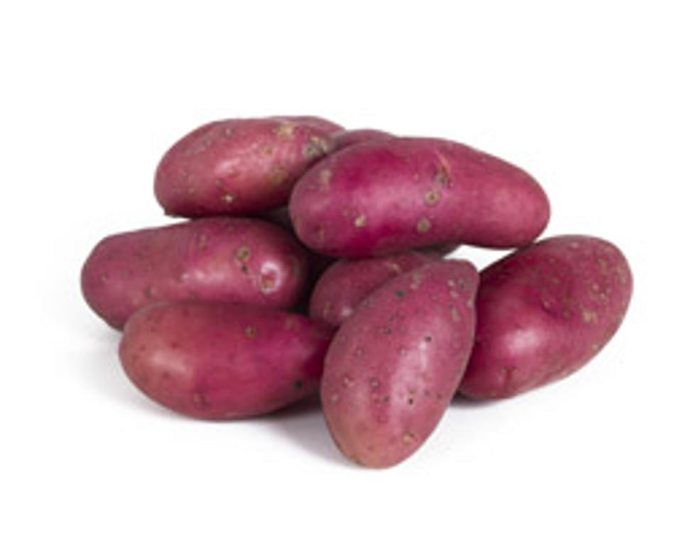 Potatis Cerisa tvättad SE