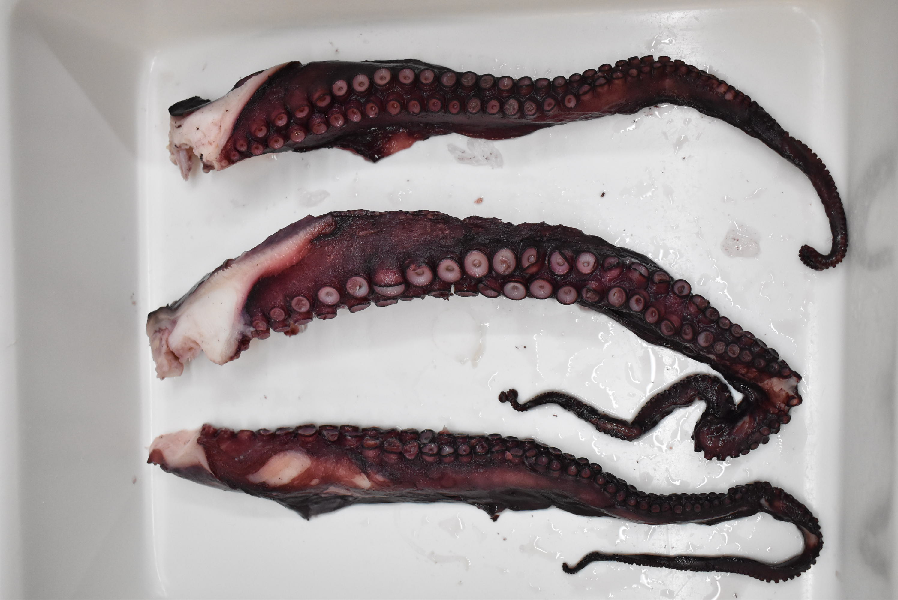 Bläckfiskarmar kokta 70-120 g