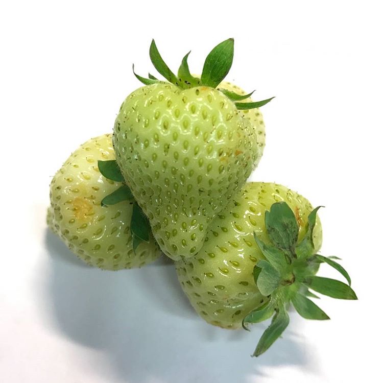 Jordgubbar Gröna Sverige