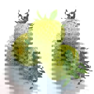 Jordgubbar Gröna Sverige