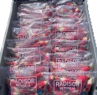 Rädisa Vitspetsig i Påse Sverige