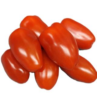 San Marzano Cocktailtomat Mini Röd