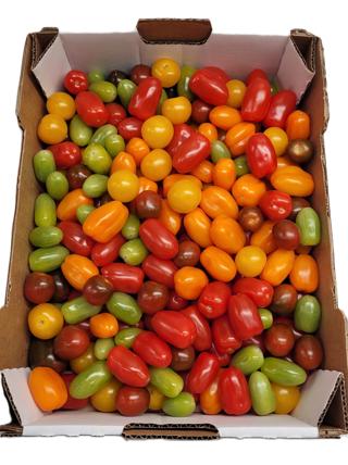 Tomat Gällenäsmix Silver