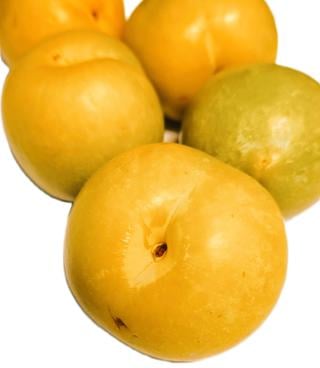 Plommon Gula
