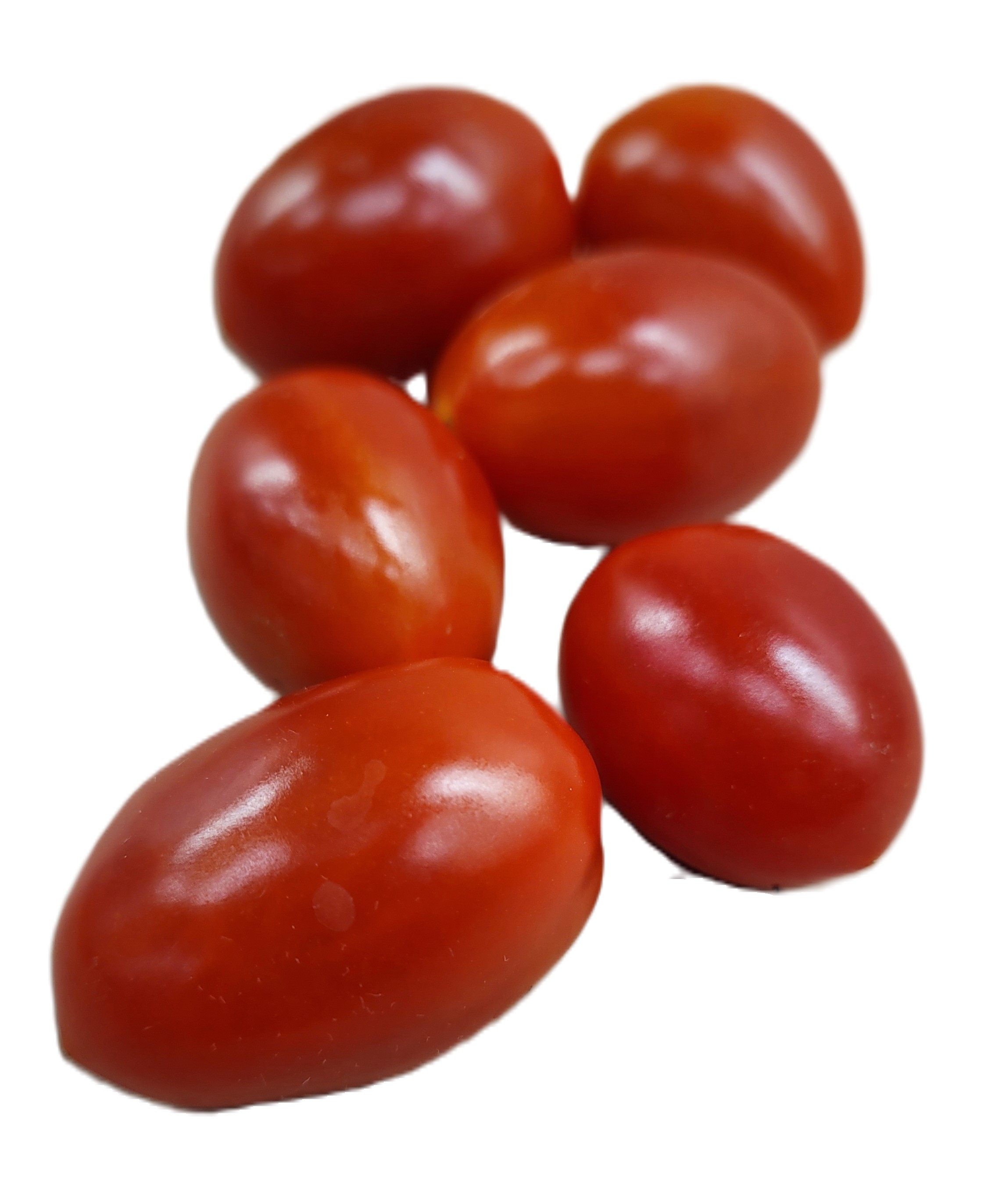 Plommontomat Baby i Lösvikt Klass 1