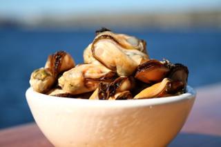 Blåmusslor utan Skal MSC