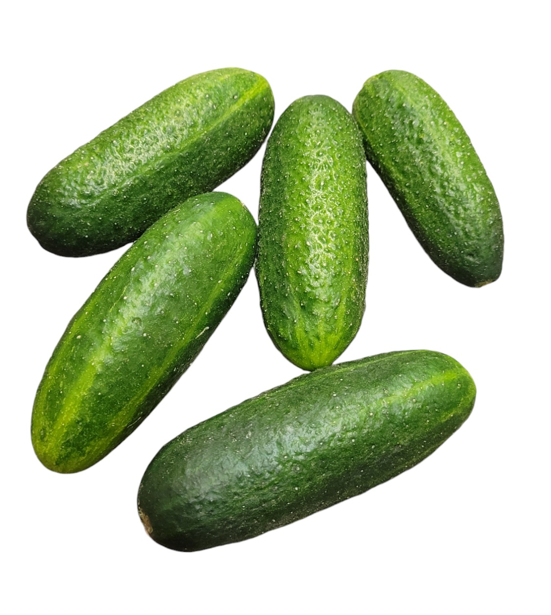 Inläggningsgurka Klass 1