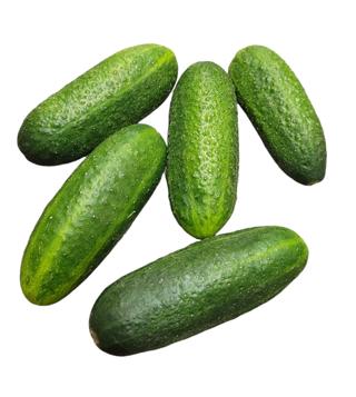 Inläggningsgurka Klass 1