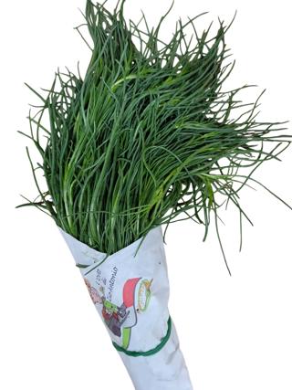 Agretti