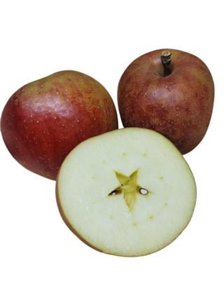 Äpple Belle de Boskoop Klass 1 Sverige