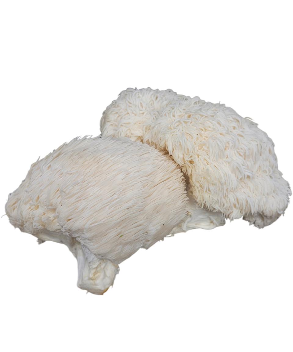 Svamp Pompom