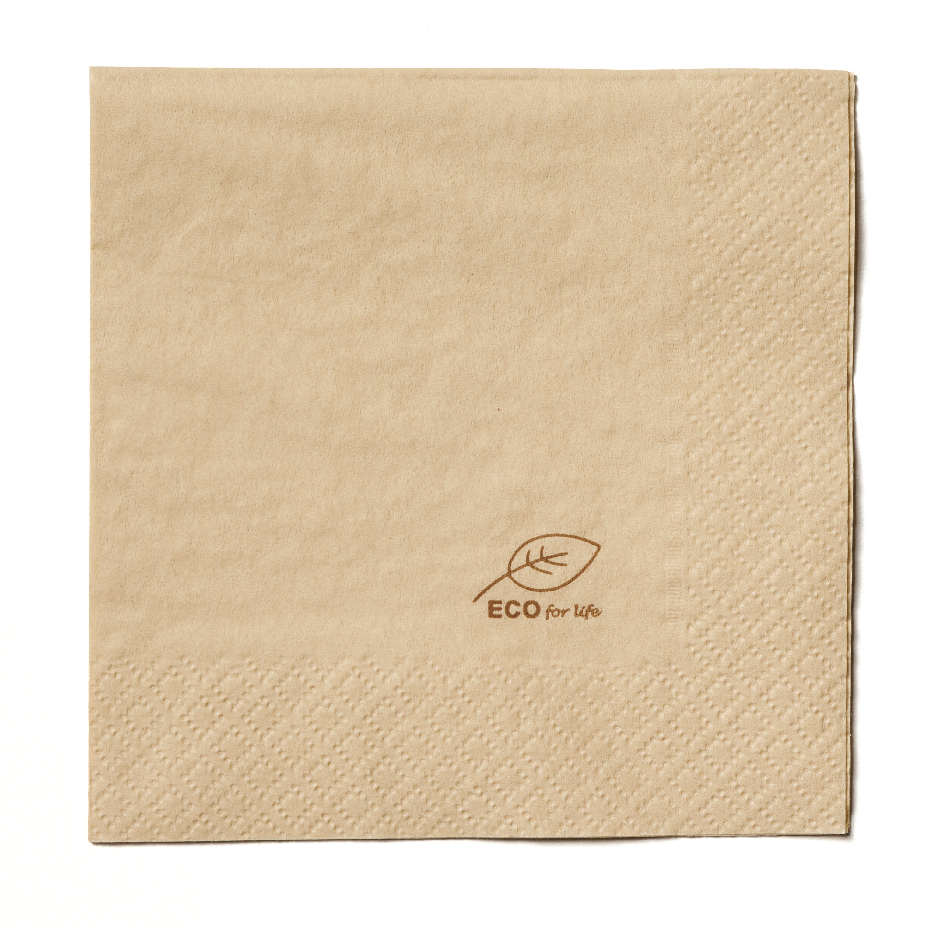 Servett 2-lager 24x24cm Natur ECO