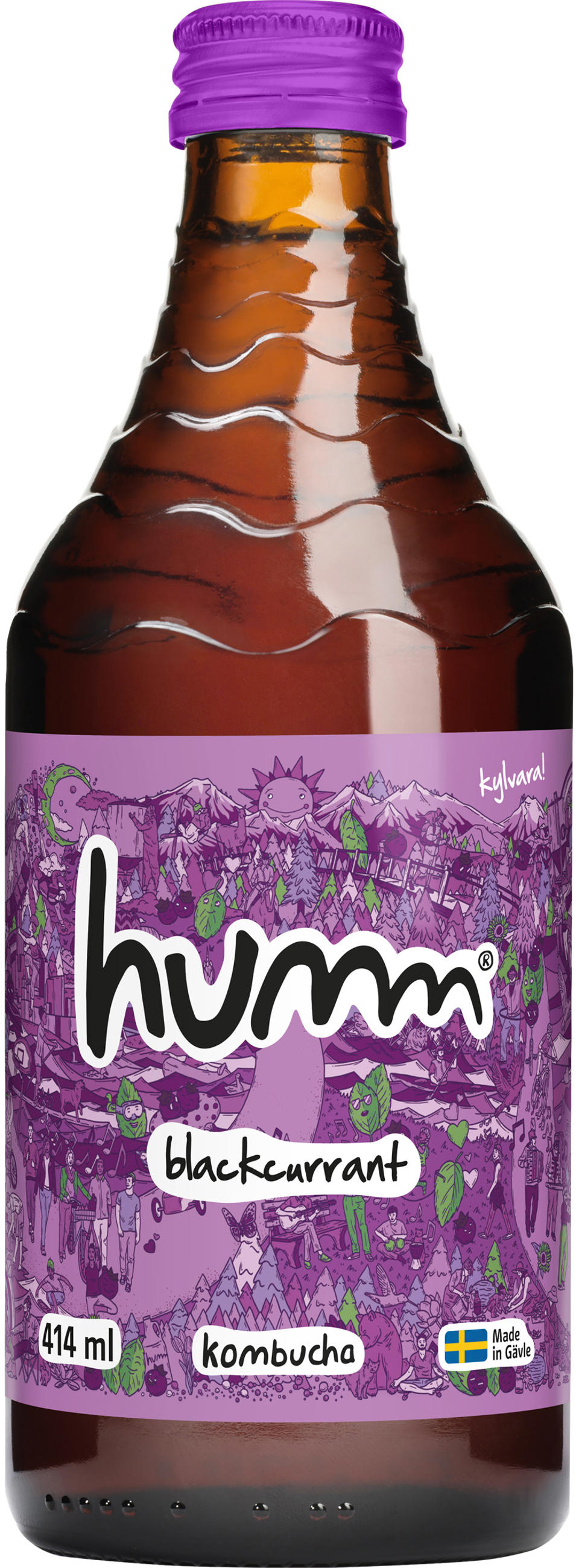 Kombucha Svartvinbär ENGL EKO
