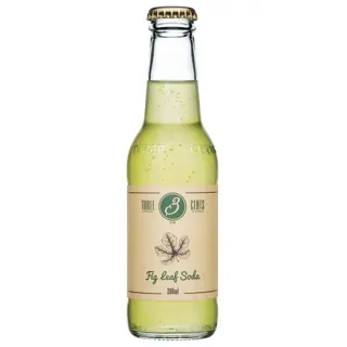 Fig Leaf Soda ENGL