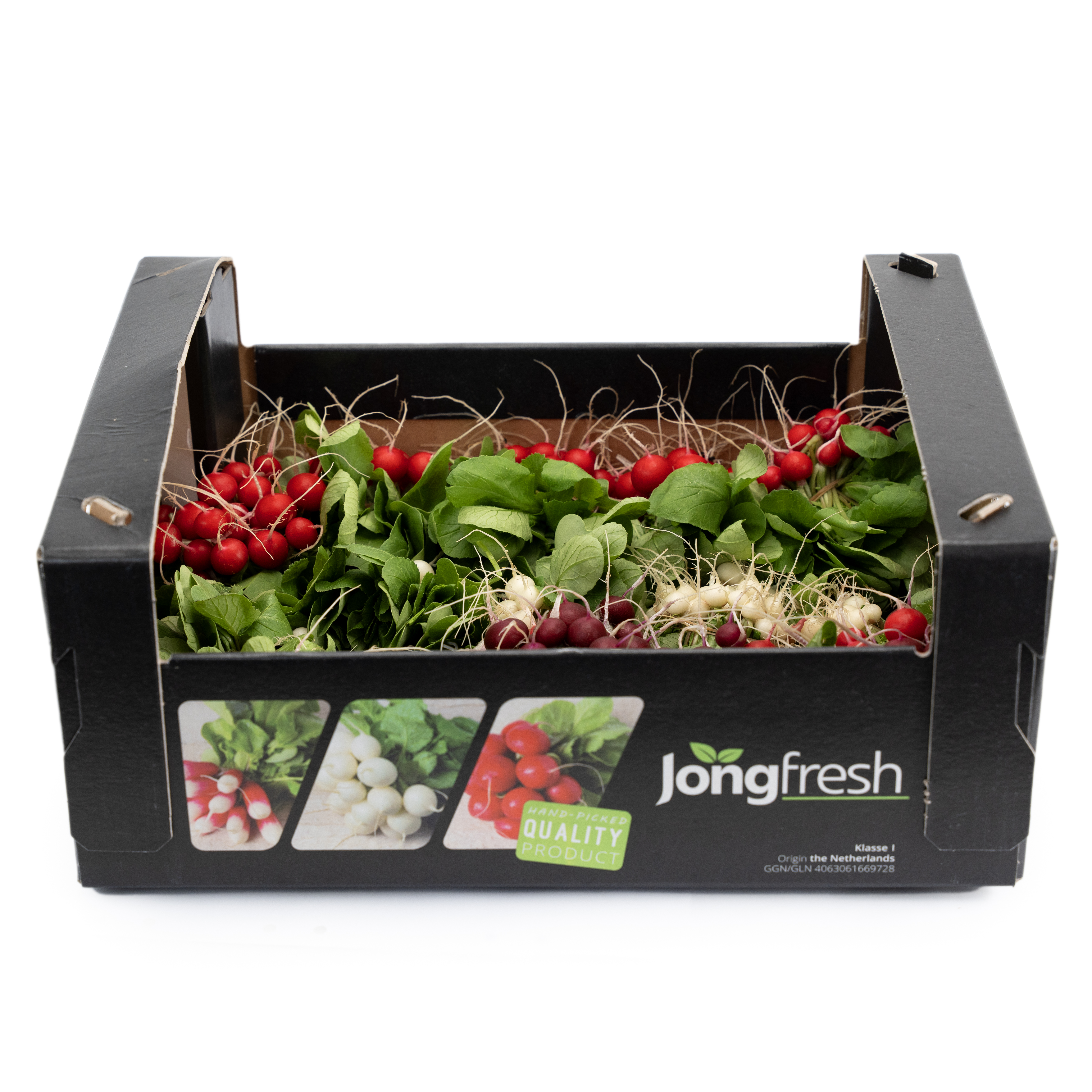 Rädisor i Knippe Mini Mix