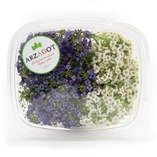 Blomma Strandkrasse Mix