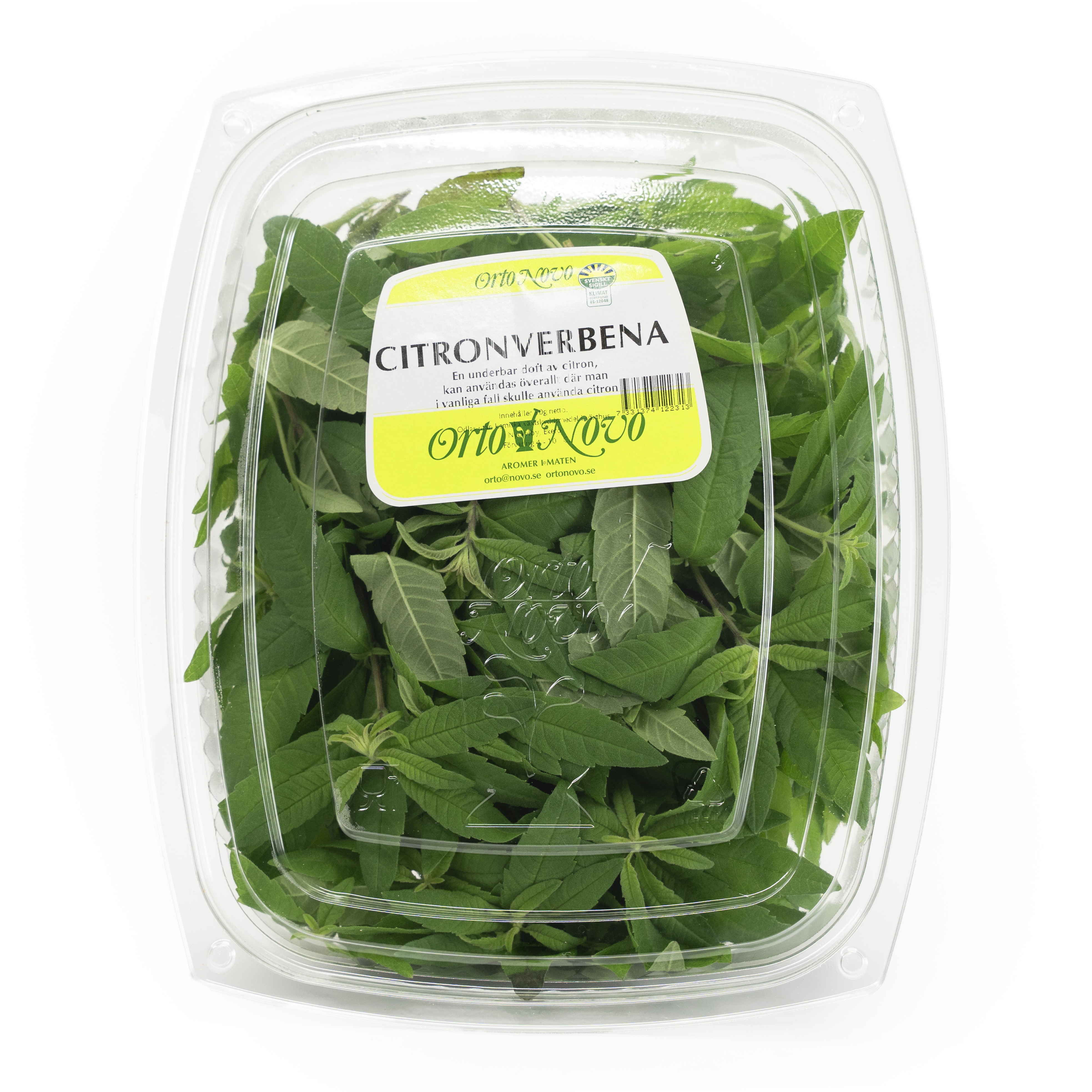 Citronverbena i Ask