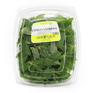 Citronverbena i Ask