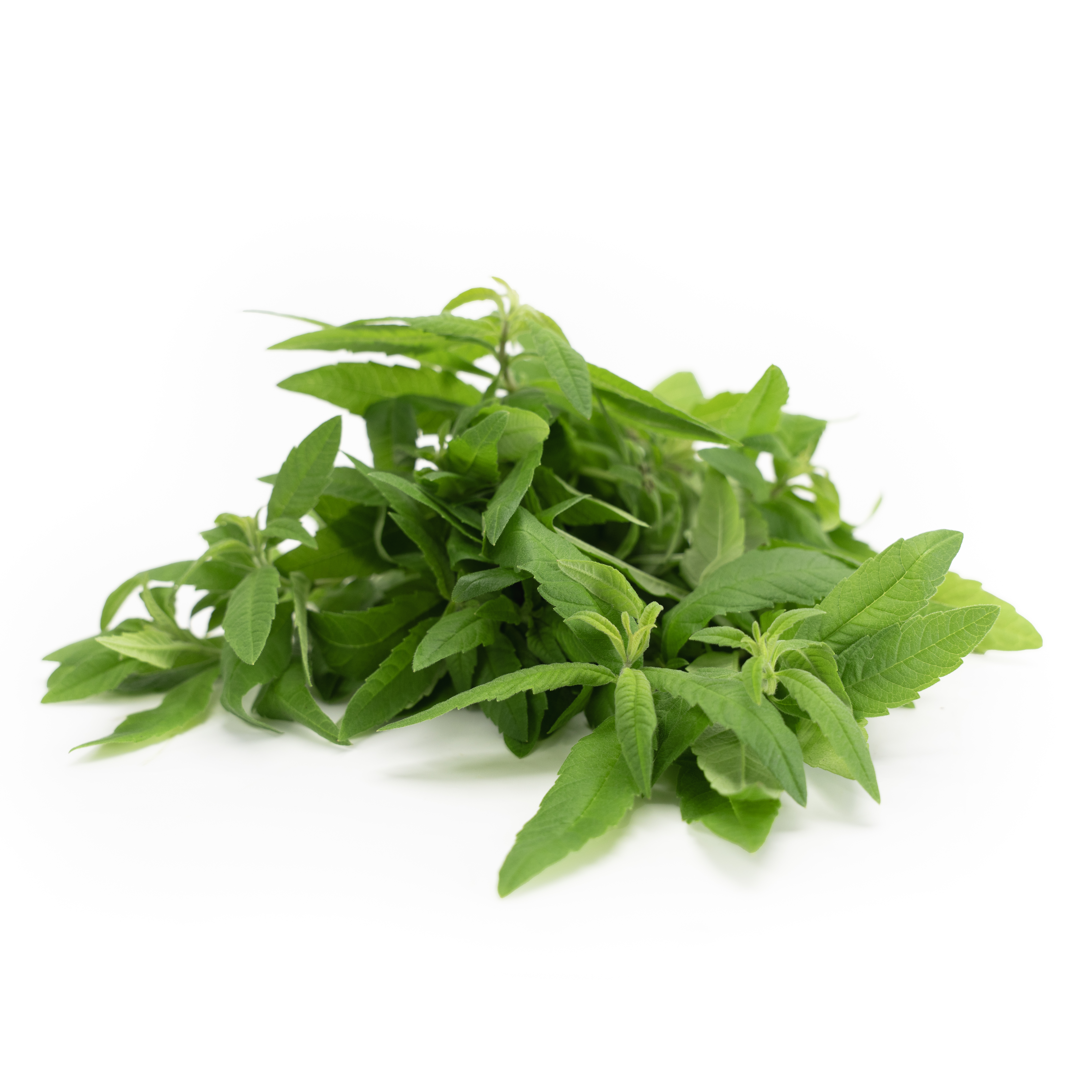 Citronverbena