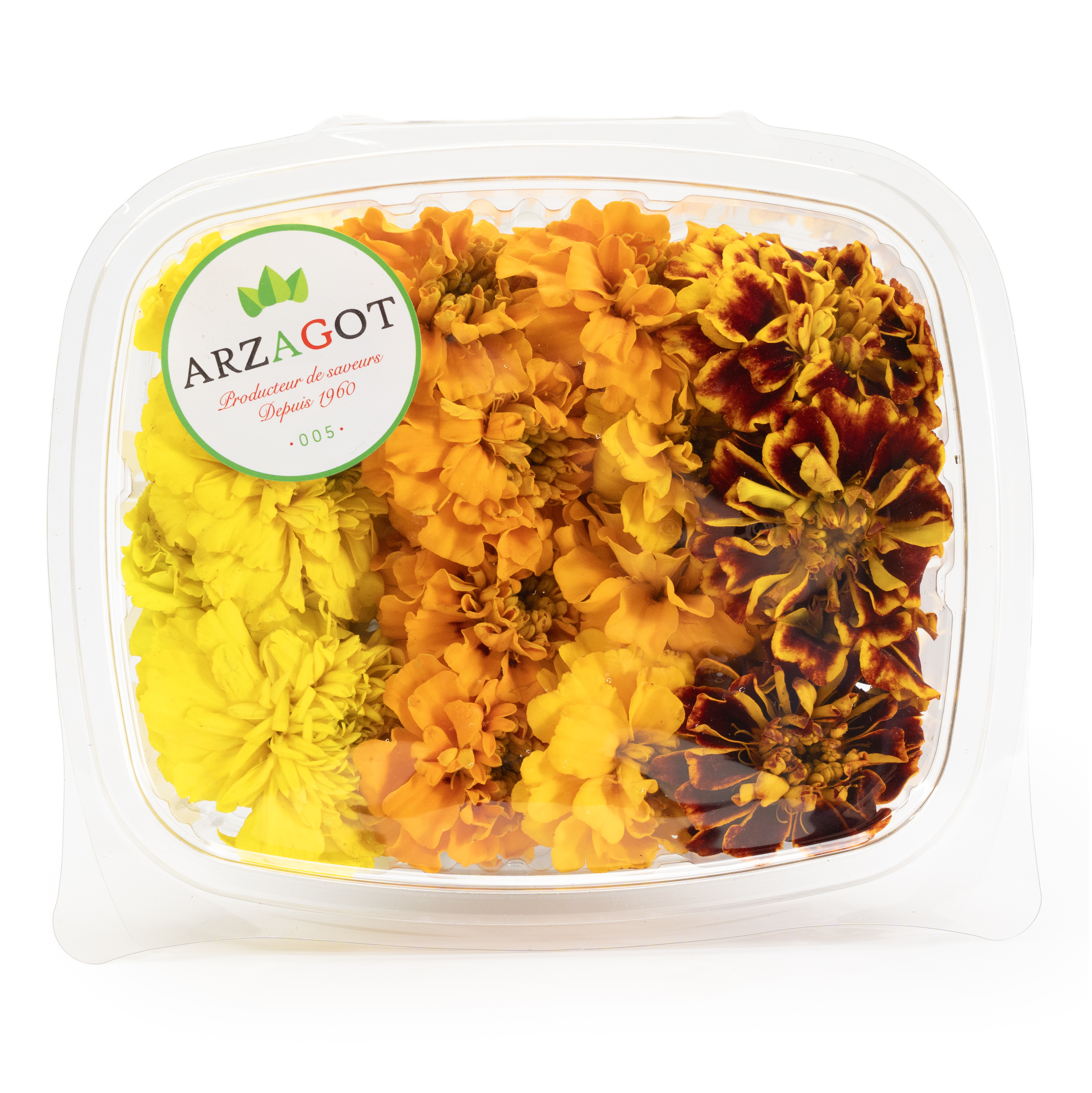 Blomma Tagetes Spanien