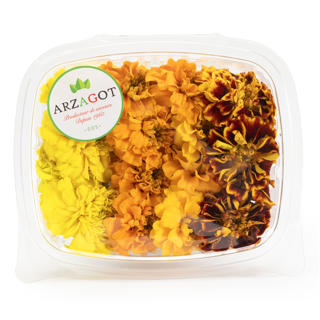 Blomma Tagetes Spanien