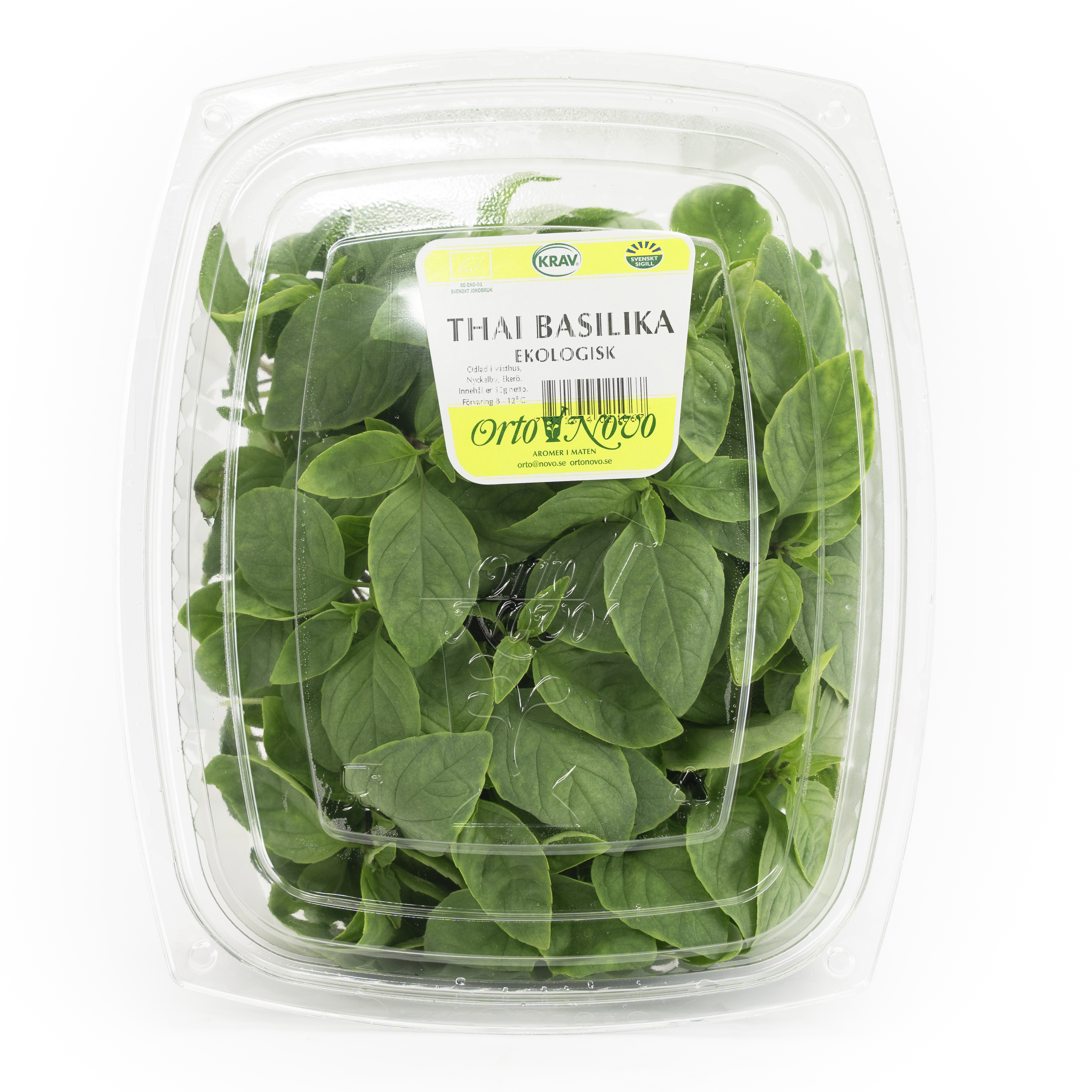 Thaibasilika i Ask EKO KRAV