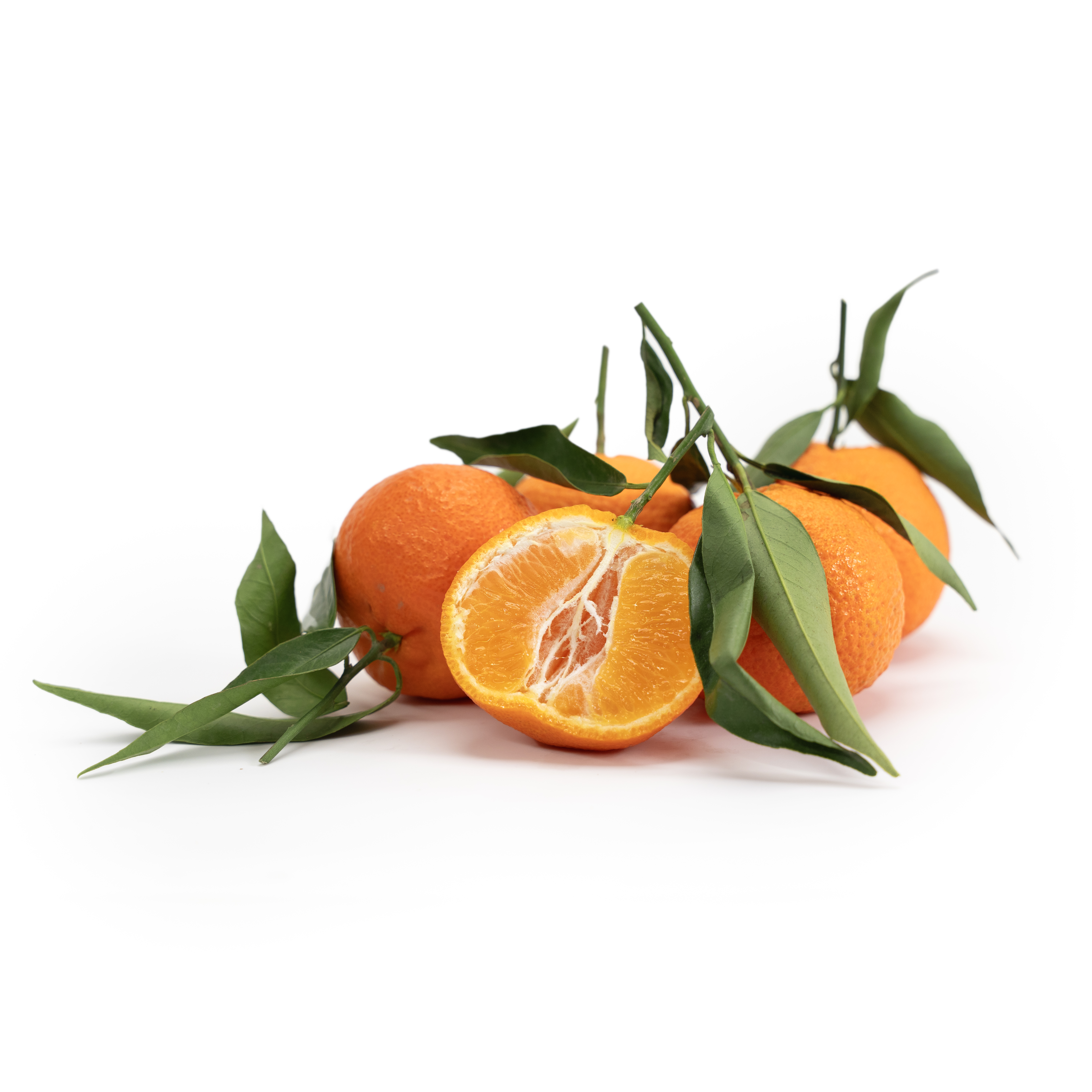 Clementin med Blad Klass 1 | Köp hos Menigo.se | Menigo.se
