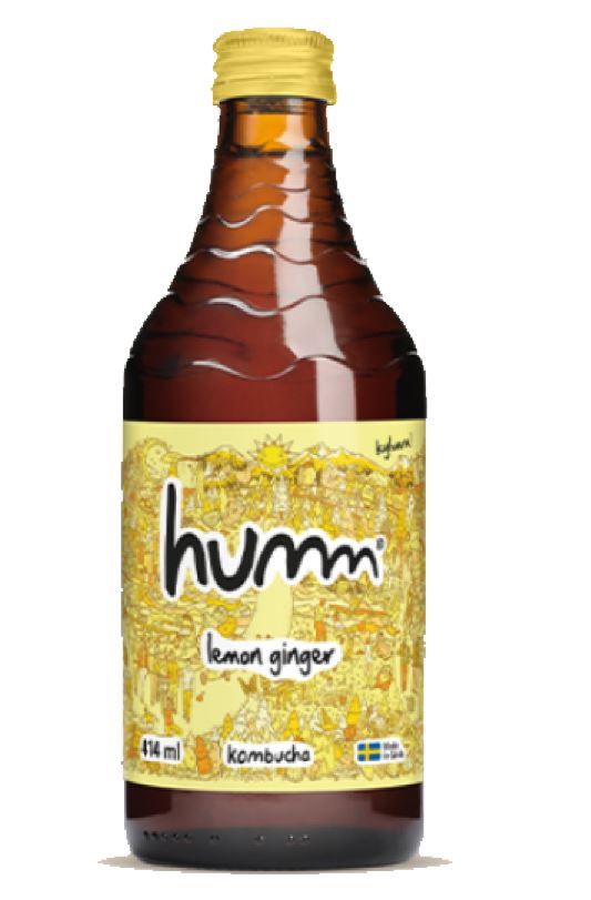 Kombucha Lemon & Ginger ENGL EKO