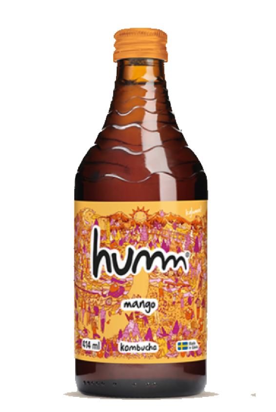 Kombucha Mango ENGL EKO