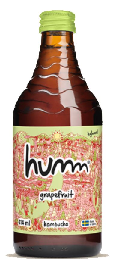 Kombucha Grapefruit ENGL EKO