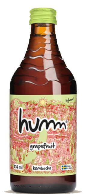 Kombucha Grapefruit ENGL EKO