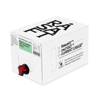 Råsaft Äpple, Ananas, Lime, Ingefära & Mynta Bag
in Box