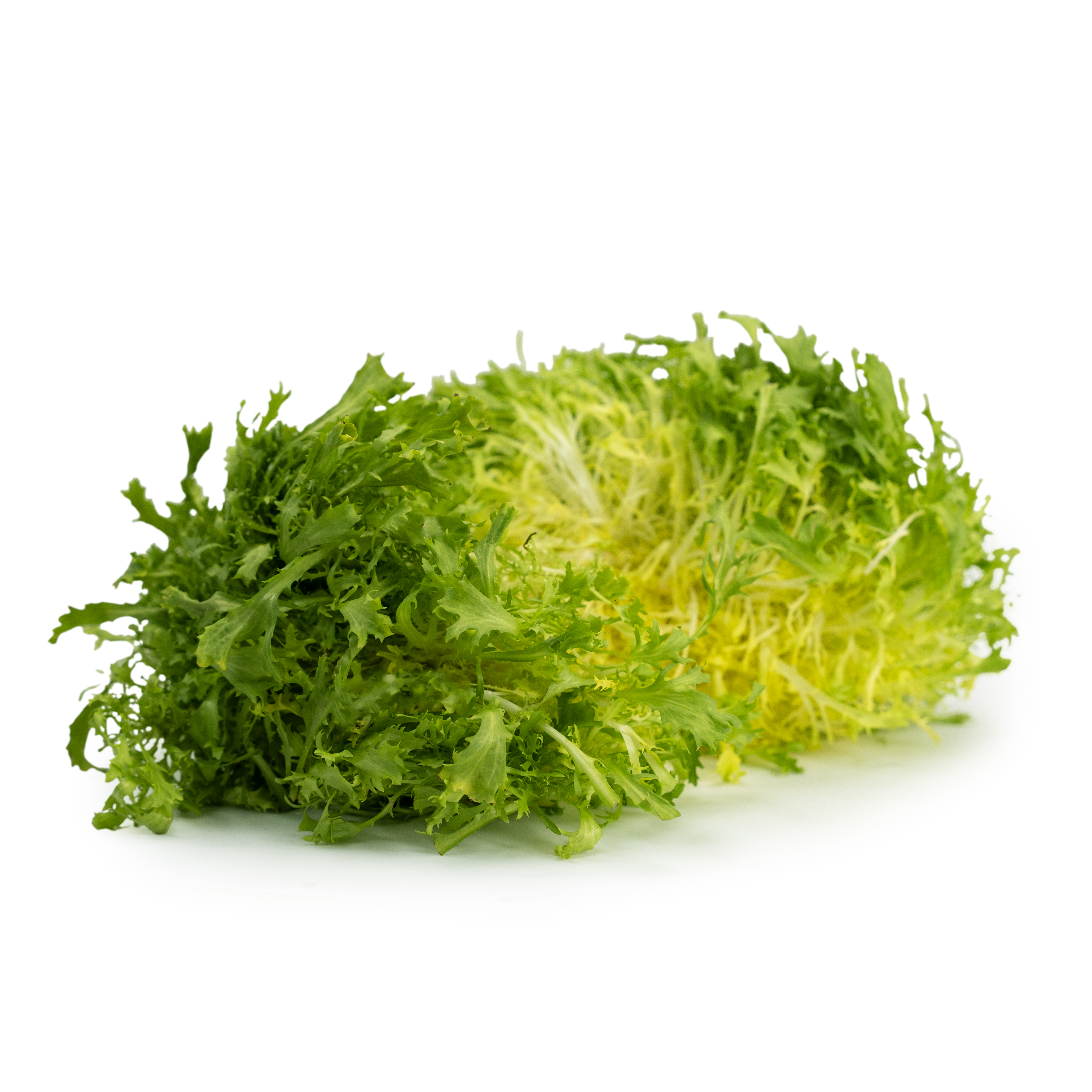 Sallat Frisee Gul Klass 1