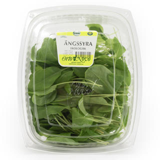 Grön Ängsyra i Ask EKO KRAV