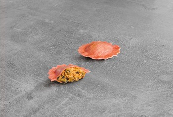 Girasoli Parmigiana di Melanzane