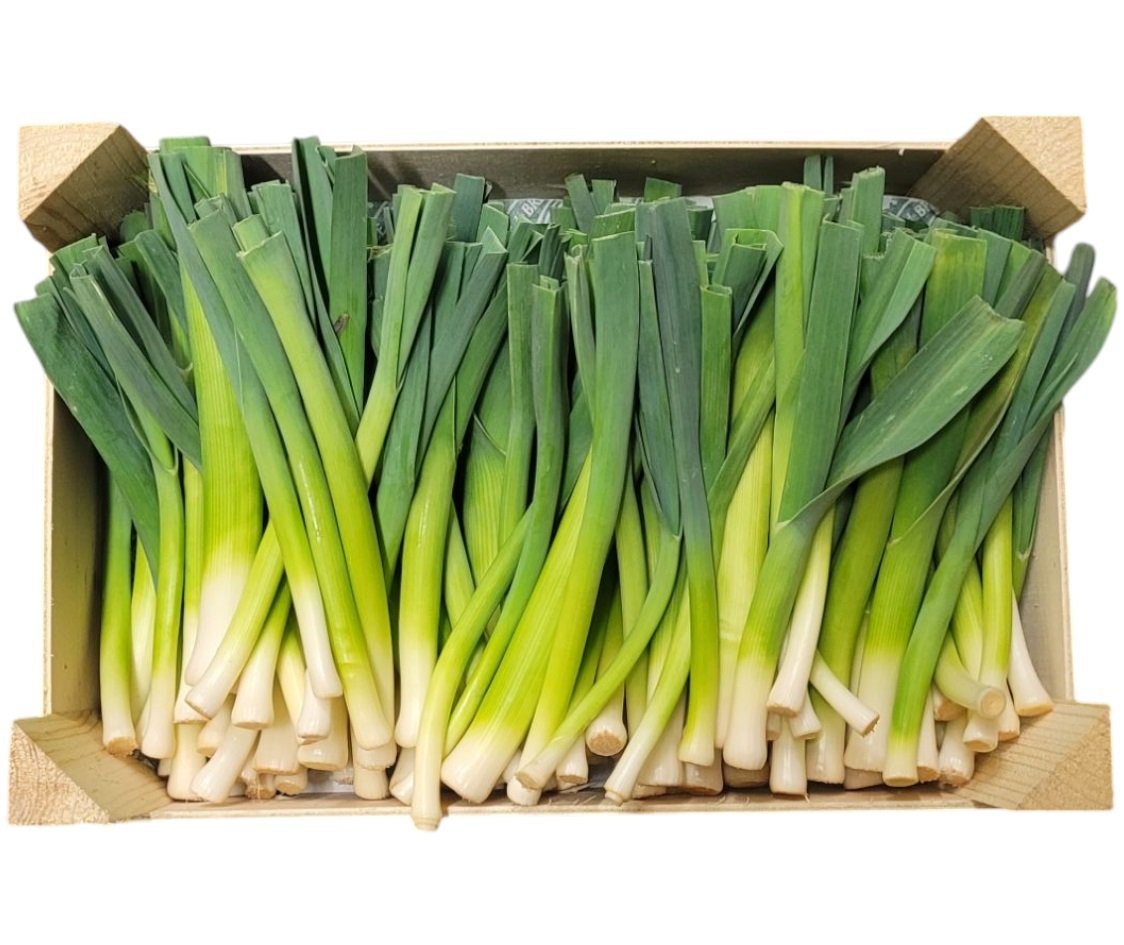 Purjolök Mini i Låda