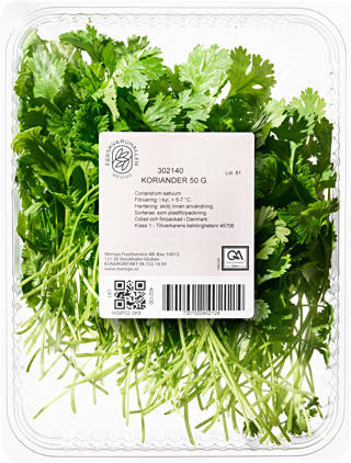 Koriander i Ask