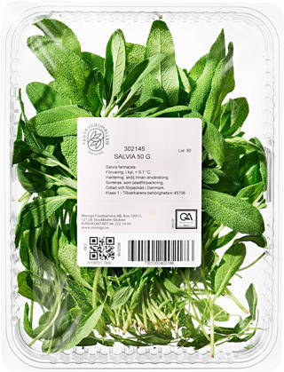 Salvia i Ask