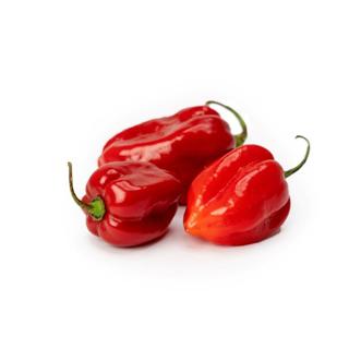 Habaneropeppar Röd