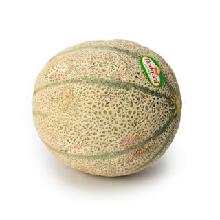 Melon Red Falcon