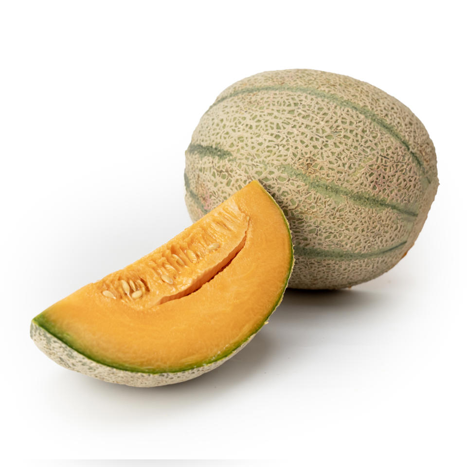 Melon Red Falcon