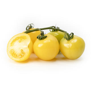 Kvisttomat Gul Klass 1