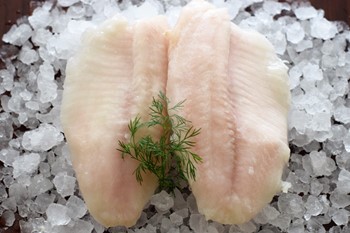 Tilapiafilé 100-150g ASC