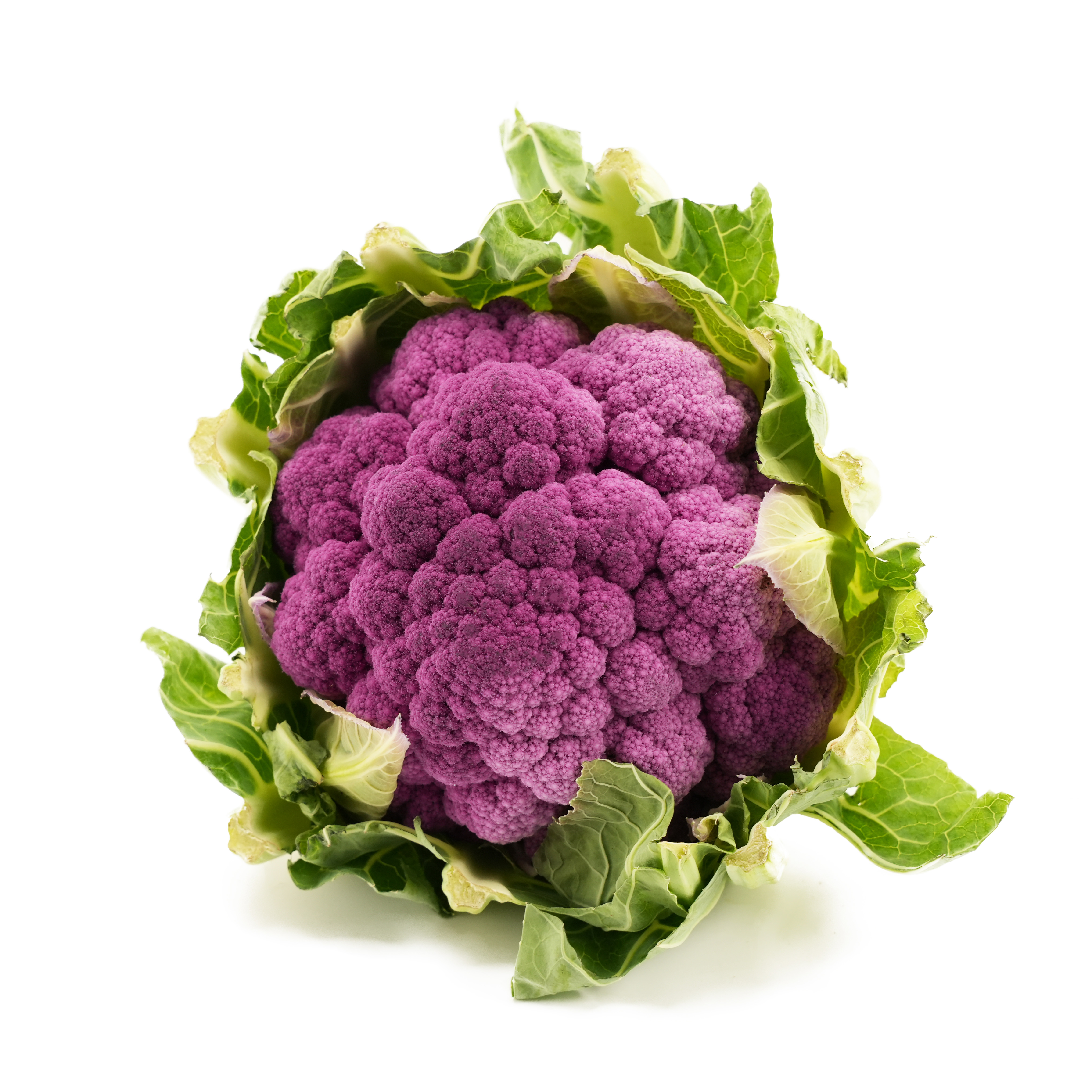 Blomkål Lila Sverige