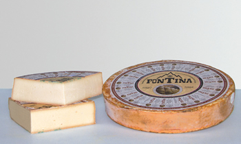 Fontina